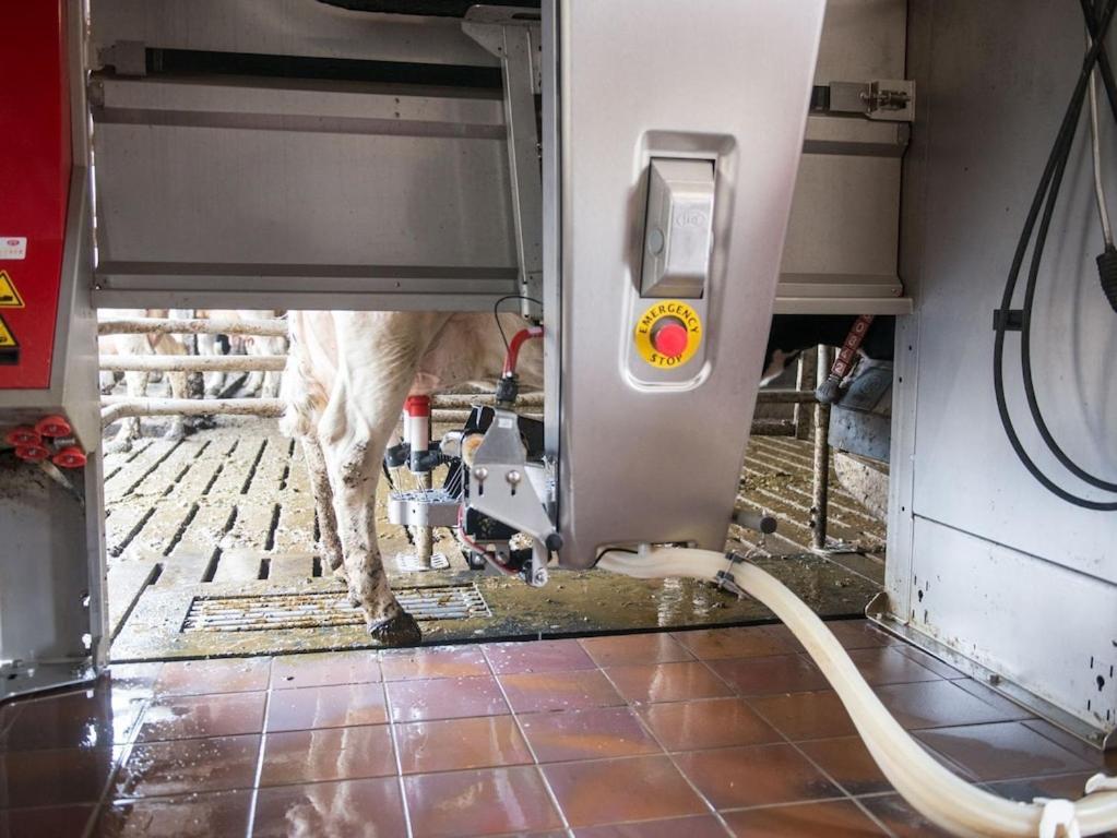 Ferienwohnung Sonnenaufgangsgenuss Harriersand Schwanewede Extérieur photo