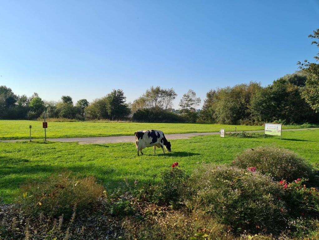 Ferienwohnung Sonnenaufgangsgenuss Harriersand Schwanewede Extérieur photo